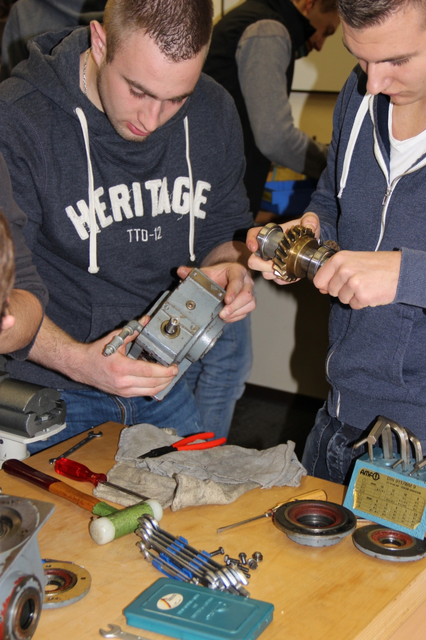 Bilder IM_15