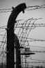 Buchenwald FSP 2019_10