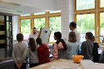 IMA - Frohnhausen_15